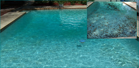 Pool Cleaning Lake Mary, Fl